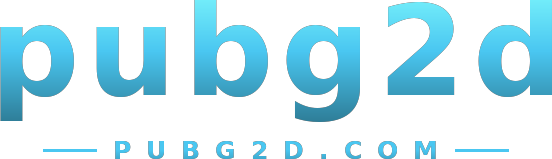 pubg2d logo